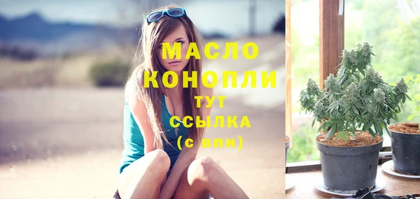 молекула духа Лабытнанги