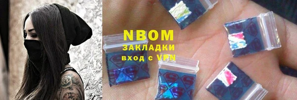 твердый Лагань