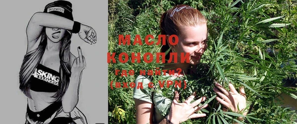 молекула духа Лабытнанги