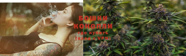 молекула духа Лабытнанги