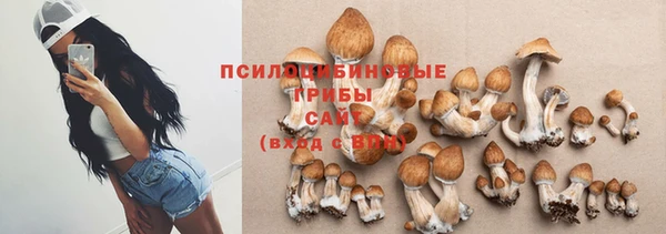 молекула духа Лабытнанги