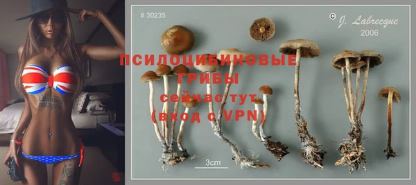 марки nbome Лиски
