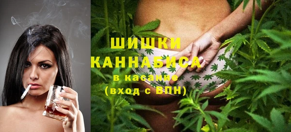 твердый Лагань