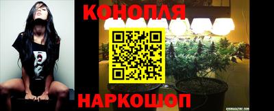 хмурый Жуковский