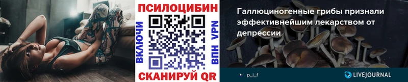 дарк нет клад где можно купить Людиново Галлюциногенные грибы мицелий