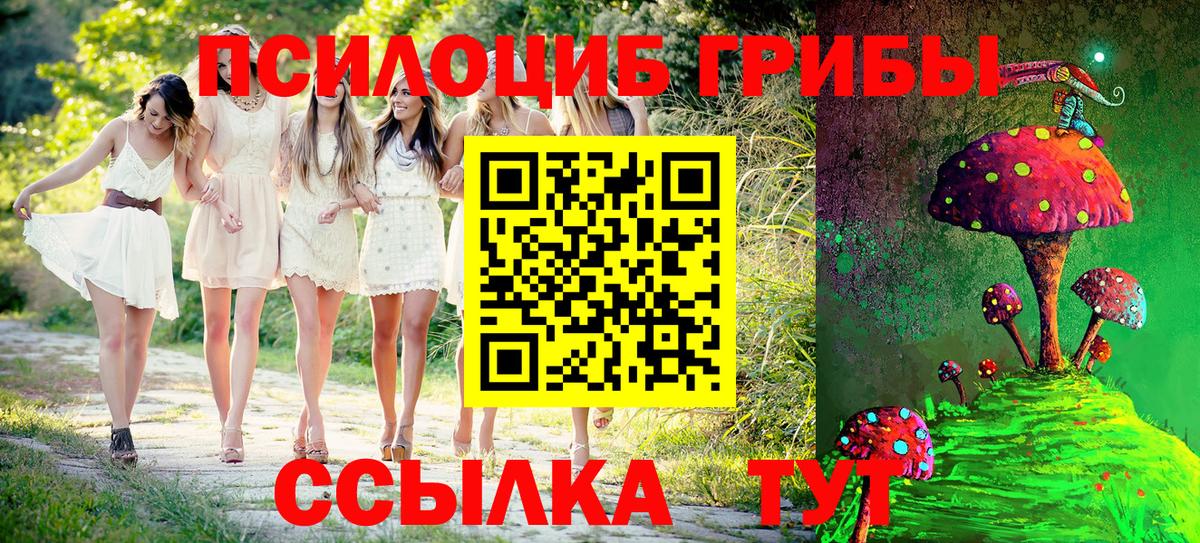 Псилоцибиновые грибы прущие грибы Людиново