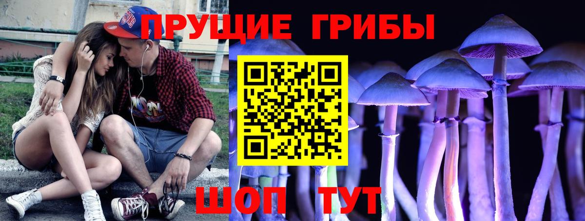 Галлюциногенные грибы GOLDEN TEACHER  Вход с VPN  Людиново 